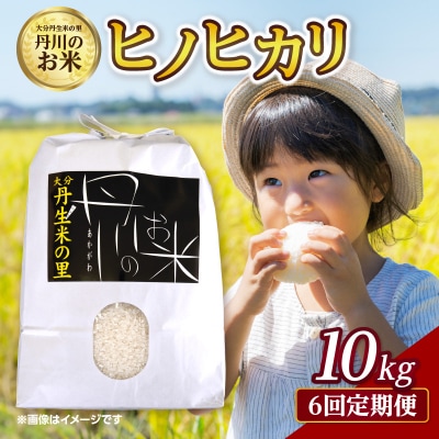 【定期便】丹生米の里 丹川のお米 ヒノヒカリ白米 10kg×6回お届け定期便_T10031