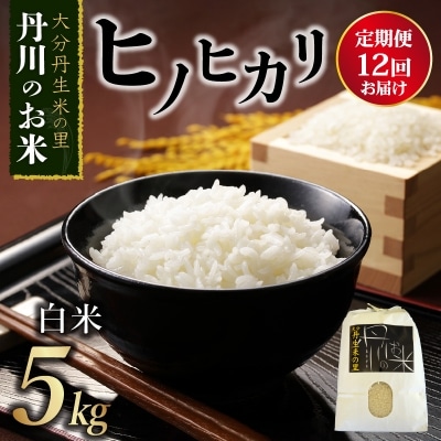 【定期便】丹生米の里 丹川のお米 ヒノヒカリ白米 5kg×12回お届け定期便_B01024