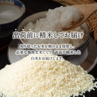 【定期便】丹生米の里 丹川のお米 ヒノヒカリ白米 5kg×12回お届け定期便_B01024