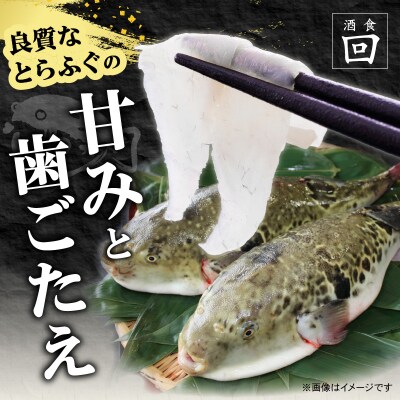 酒食・回 臼杵とらふぐ料理セット(3人前)_E05023