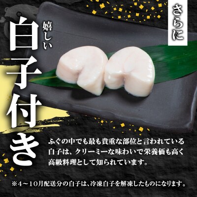 酒食・回 臼杵とらふぐ料理セット 白子付き(3人前)_E05024