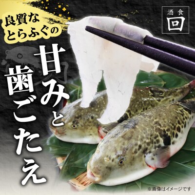 酒食・回　臼杵とらふぐ料理セット(4～5人前)_E05025