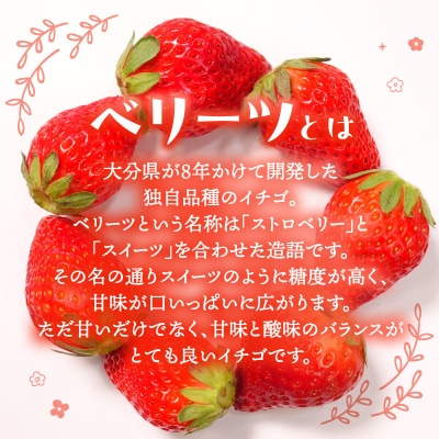 【先行受付※2026年2月下旬より発送開始】大分県ブランドいちご「ベリーツ」4パック_C07010