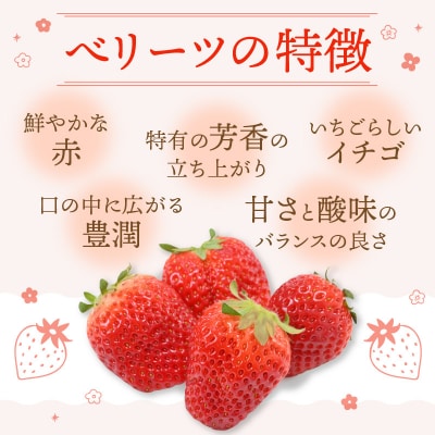 【先行受付※2026年2月下旬より発送開始】大分県ブランドいちご「ベリーツ」4パック_C07010