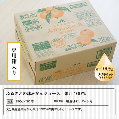 ふるさとの味みかんジュース　果汁100%　190g×30本_I02064