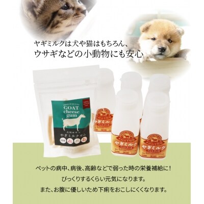 ワンちゃん、ネコちゃんの大好きなヤギミルク5本と、やぎミルクチーズ(ガムタイプ)_R14081
