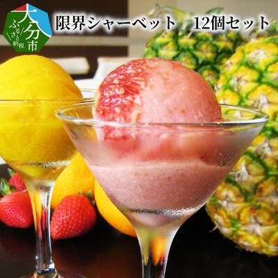 限界シャーベット 12個セット_J06019