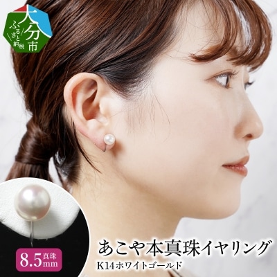 あこや本真珠イヤリング 真珠8.5mm 14Kホワイトゴールド_R14113