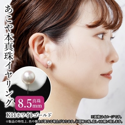 あこや本真珠イヤリング 真珠8.5mm 14Kホワイトゴールド_R14113