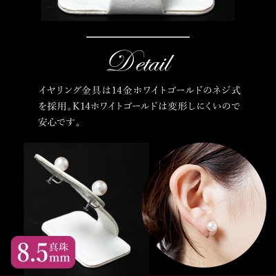 あこや本真珠イヤリング 真珠8.5mm 14Kホワイトゴールド_R14113