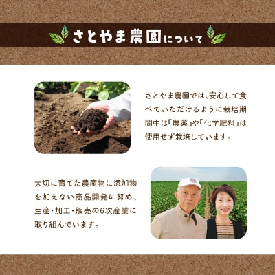 秋ウコン粉末　大分県産　栽培期間中は農薬・化学肥料未使用_F09001