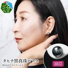 タヒチ黒真珠ピアス 真珠10mm 14Kホワイトゴールド_R14115
