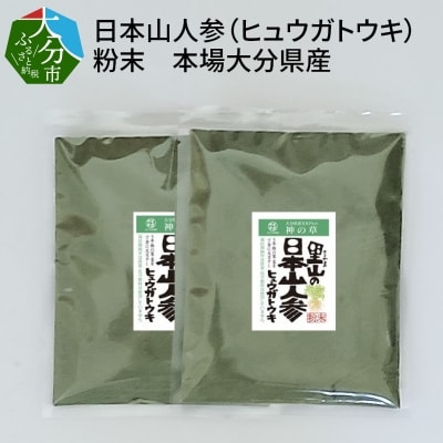 日本山人参(ヒュウガトウキ)粉末　本場大分県産_F09002