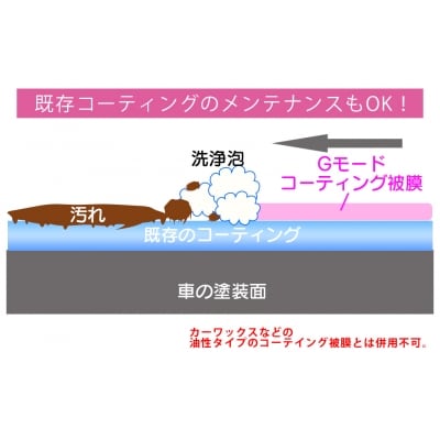 シャンプー&コーティング剤「Gモード」1,000ml&250mlセット_R14133