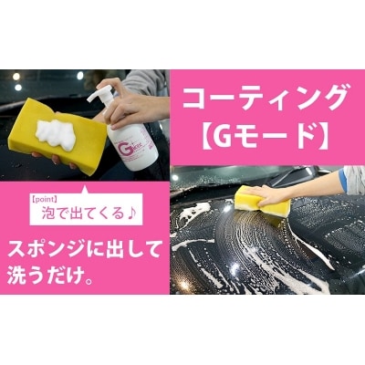 シャンプー&コーティング剤「Gモード」1,000ml&250mlセット_R14133