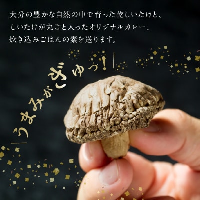 大分産乾しいたけと豊後きのこカレーと豊後きのこめし_F07027