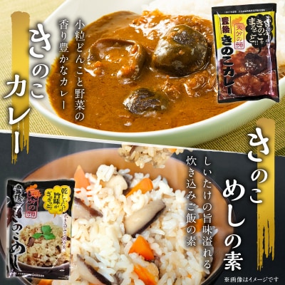 大分産乾しいたけと豊後きのこカレーと豊後きのこめし_F07027