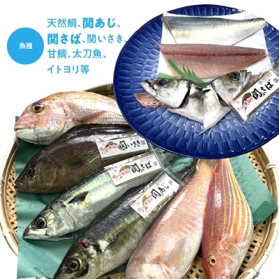 佐賀関産　朝獲れ鮮魚　おまかせ詰め合わせ　約2kg_E04025