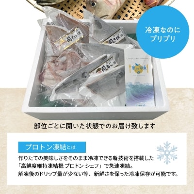 佐賀関産　朝獲れ鮮魚　おまかせ詰め合わせ　約2kg_E04025