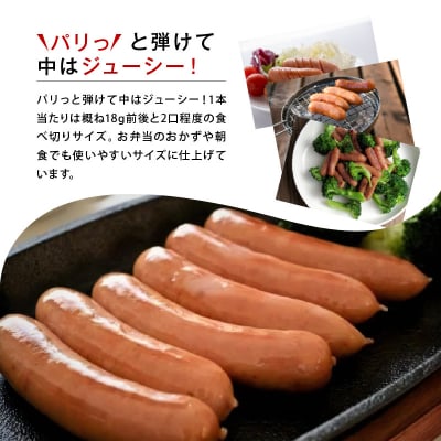 あらびきポークウインナー2.1kg_A05047