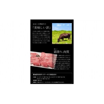 豊後黒毛和牛ステーキ三昧詰合せ約990g_A01044