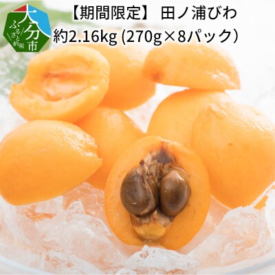 【期間限定】田ノ浦びわ 約2.16kg(270g×8パック)_C07013