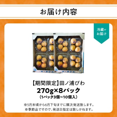 【期間限定】田ノ浦びわ 約2.16kg(270g×8パック)_C07013