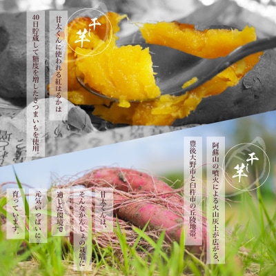 【訳あり】ご家庭用　甘太くん干し芋200g×5袋_F02012