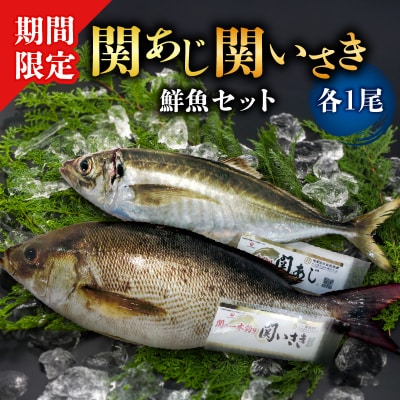 関あじ・関いさき(鮮魚)セット(各1尾)_E04022