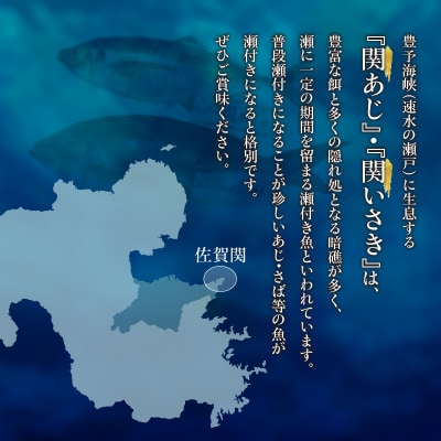 関あじ・関いさき(鮮魚)セット(各1尾)_E04022