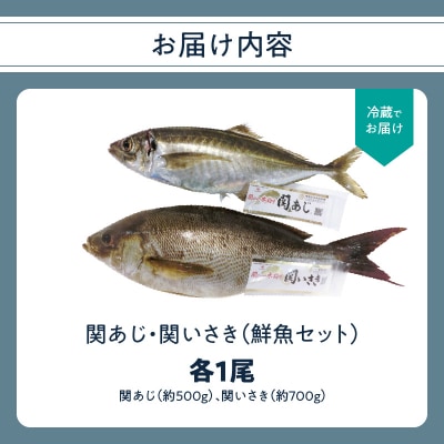 関あじ・関いさき(鮮魚)セット(各1尾)_E04022
