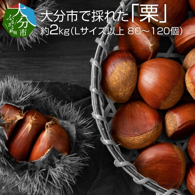【2023年10月配送開始】大分市で採れた「栗」約2kg Lサイズ以上80～120個_C05002
