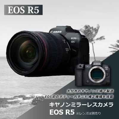 キヤノンミラーレスカメラ　EOS R5_R14141