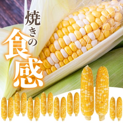 焼きの食感 こげめの無い焼きとうもろこし_F08001
