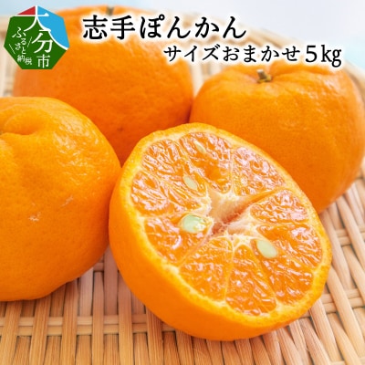 【2027年1月下旬より発送】【大分市名産】志手ぽんかん サイズおまかせ5kg_C09020