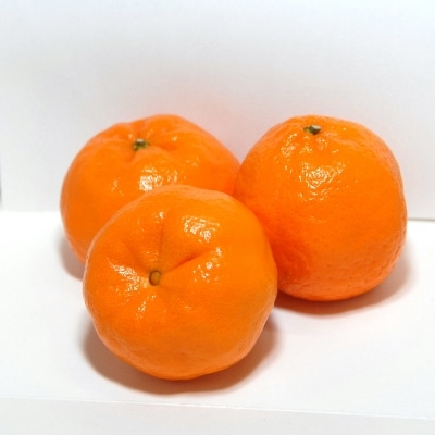 【2027年1月下旬より発送】【大分市名産】志手ぽんかん サイズおまかせ5kg_C09020