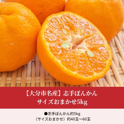 【2027年1月下旬より発送】【大分市名産】志手ぽんかん サイズおまかせ5kg_C09020