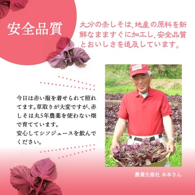 赤しそジュース　オリゴ糖タイプ　900ml×6本_F10013
