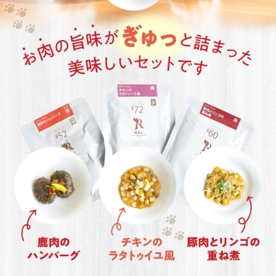 ドッグフード　無添加　お肉ごはん3点セット　【犬の手作りごはん】_R15005