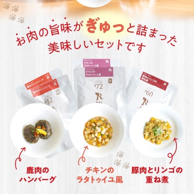 ドッグフード　無添加　お肉ごはん5点セット　【犬の手作りごはん】_R15006