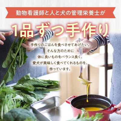 ドッグフード　無添加　お肉ごはん5点セット　【犬の手作りごはん】_R15006