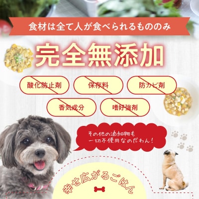 ドッグフード　無添加　お肉ごはん5点セット　【犬の手作りごはん】_R15006
