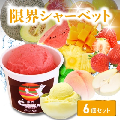 【母の日ギフト】限界シャーベット 6個セット≪5月10日お届け≫_J06018-H