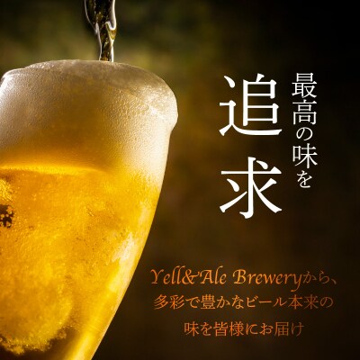 クラフトビール　飲み比べおすすめ6種セット_H01003