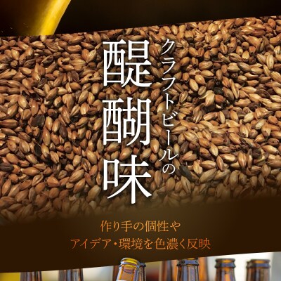 クラフトビール　飲み比べおすすめ6種セット_H01003