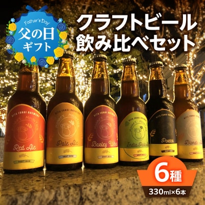 【父の日ギフト】モンキーマウンテン クラフトビール 6種セット≪6月21日お届け≫_H01002-C
