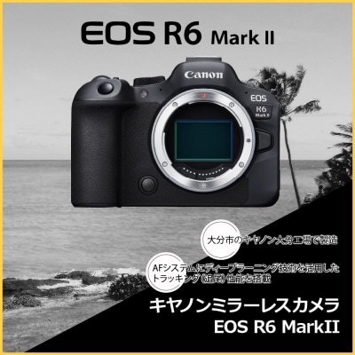キヤノンミラーレスカメラ EOS R6 Mark II_R14150