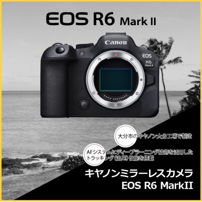 キヤノン Canon EOS R6 RF24-105 IS STM レンズキット ミラーレス一眼 