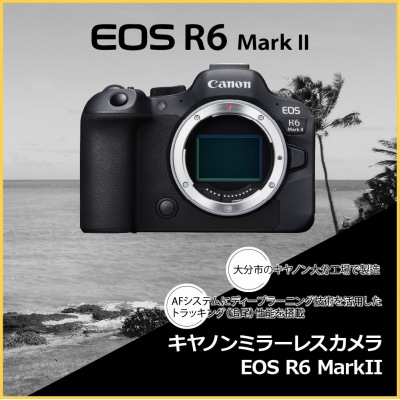 キヤノンミラーレスカメラ EOS R6 MkⅡ・RF24-105 USMレンズキット_R14152