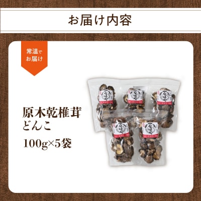 原木乾椎茸　どんこ5袋セット(合計500g)_F07032